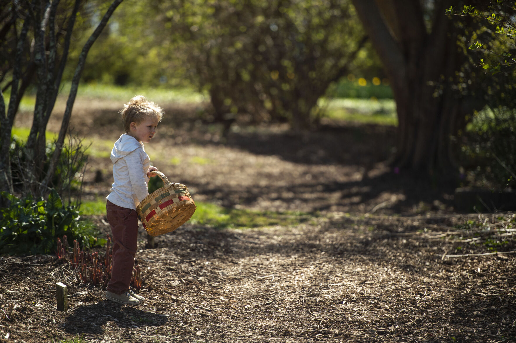 Easter egg hunt